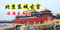 肉肉黄片摸大鸡巴操屄中国北京-东城古宫旅游风景区